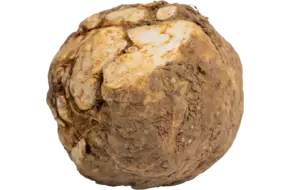 Mini knolselderij met lof